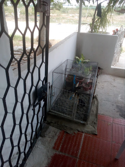 AF1QipN3XNNp45PjN MjQ6EOqVlYsU86dL0Z3Q7MtVEFw408 h544 k no