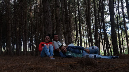 AF1QipN4rxm95DO8NqPf3SYZ9Fry1hVcgkigW7mHfLZ7w426 h240 k no