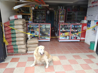 AF1QipNEdMX9VyhDnwuo0O0jllWkDny1aJdGl8NOttw7w408 h306 k no