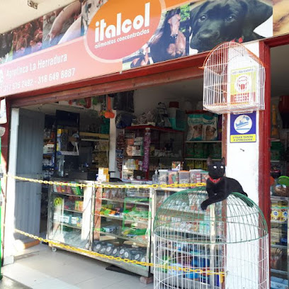 AF1QipNErVNcBE9LvUvtdjPcUfcM6ZrpQJ1SMkGPU7zGw408 h408 k no