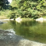 Bodega La Piñuelita - Cocorná 9 AF1QipNHrEtdKoHxvGzjt4bGIiuOKG7eEBFPexnuGJ8uw426 h240 k no