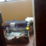 AF1QipNPsvON0I9dh43T2f2b RO7o9qhGptLQl 5Ed2gw408 h725 k no